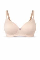 BRA103001-SHELL-1.png