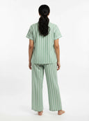 CTNS-29-GREEN-4.webp